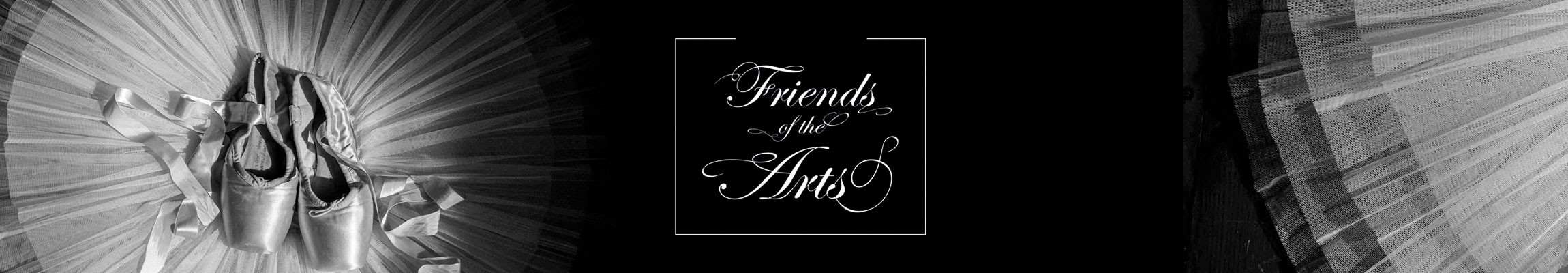 Friends of the Arts