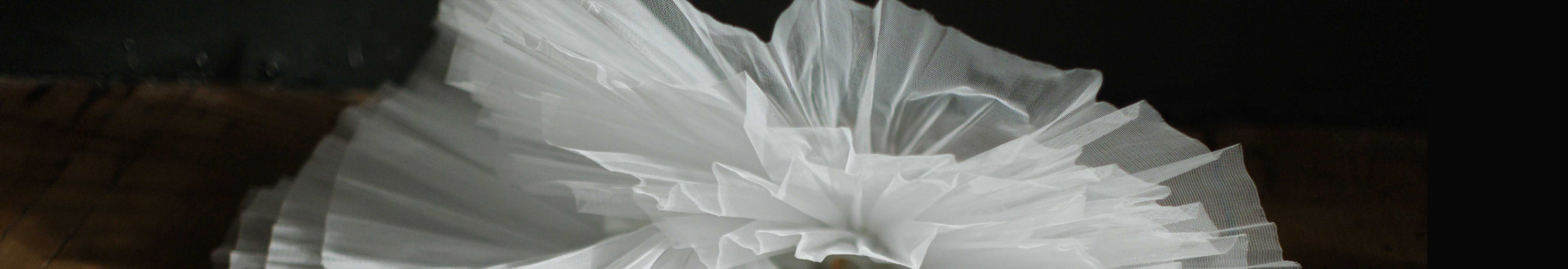 Tutu-Friends of the Arts